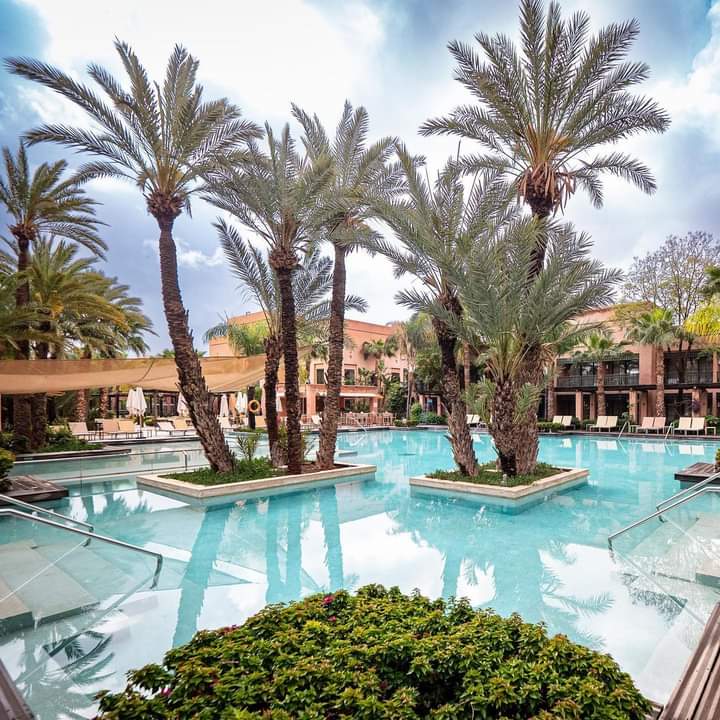 Africa Facts Zone tweet media