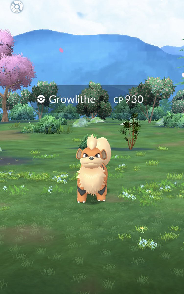 shinyycatherine's tweet image. While I’m not a fan of the “Rediscover” campaign (new avatars are iffy and I don’t need more Kanto), I actually really like these biomes! Definitely an improvement :)