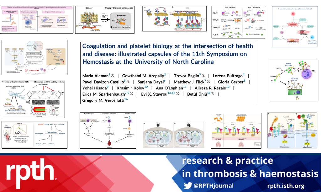 We love illustrated science! 
Coagulation and Platelet Biology at the Intersection of Health and Disease, April 25-27, 2024
Illustrated Capsules from the 11th Symposium on Hemostasis hosted by the <a href="/UNC_BRC/">UNC Blood Research Center</a> <a href="/UNC/">The University of North Carolina at Chapel Hill</a> 
rpthjournal.org/article/S2475-…