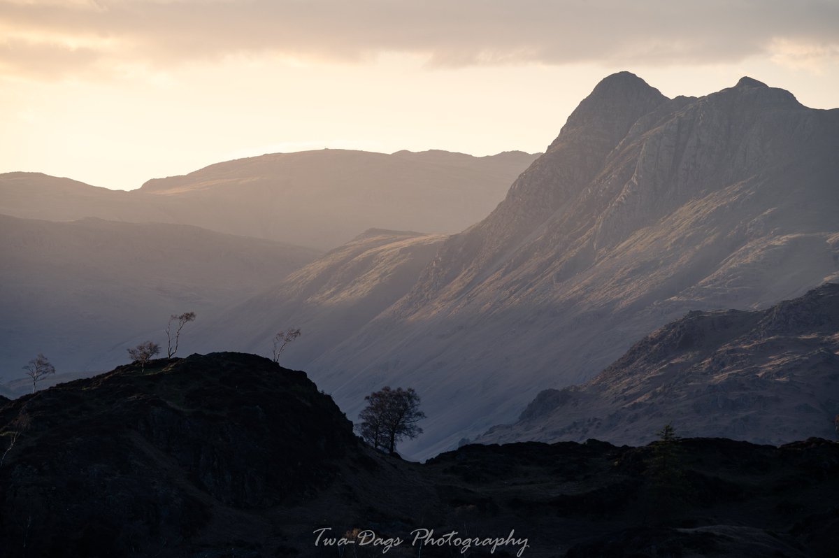 A setting sun, some Langdale Pikes, a couple of trees. One from an evening bimble up Tom Heights with me owd mucka
@MaliDaviesPhoto 
#landscapephotography #LakeDistrict #ThePhotoHour #sunset