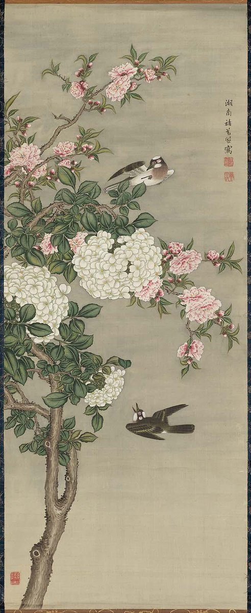 White-Vented Bulbuls on Hydrangeas, by Shokatsu Kan, latter half of the 18th century #nanpinschool