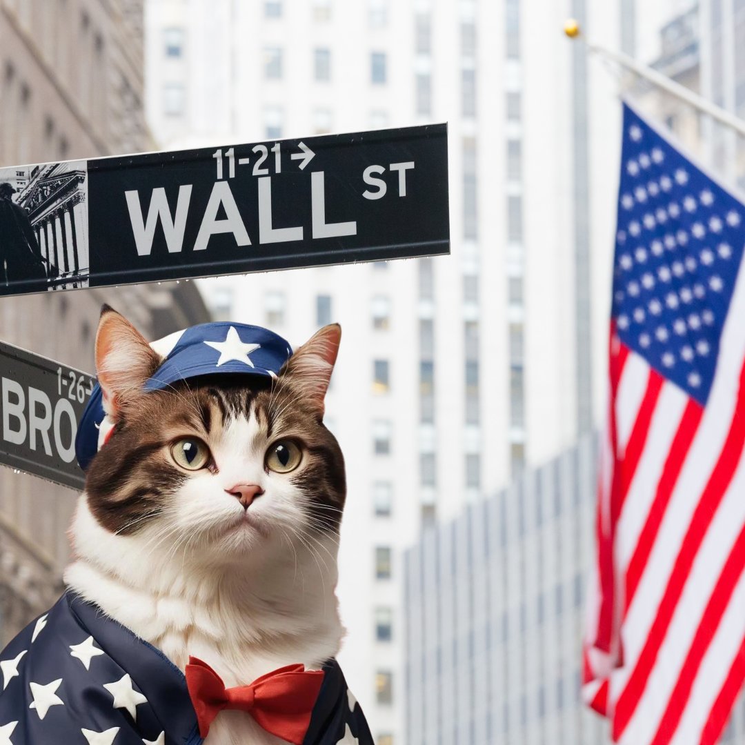 AMERICATSOL_'s tweet photo. LFG $ACAT 

CA: BWgDeDaAody2LJt555Cv3s4R2nzxbtN21qCUA9bhakTE https://t.co/PPjEV3C64W