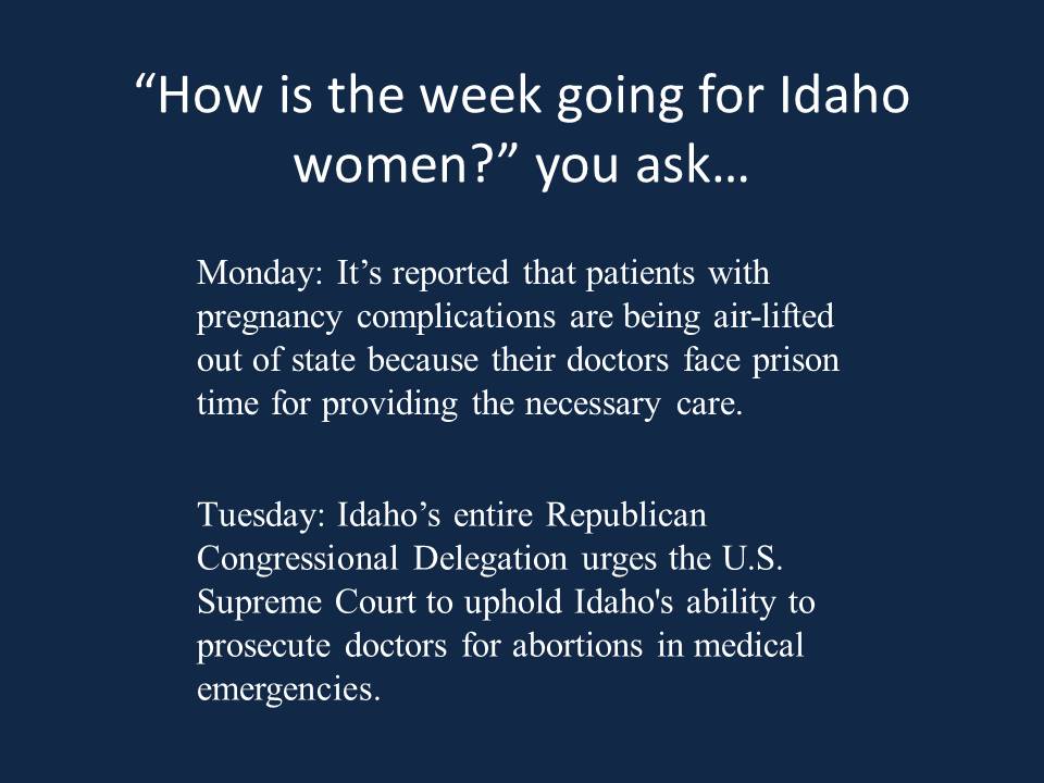 Lauren Necochea (@necocheaforid) on Twitter photo 