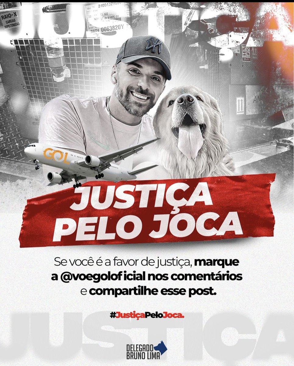 ShirleyBatsi's tweet photo. @VoeGOLoficial  #Gol precisa se responsabilizar por esse crime #GolAssassina https://t.co/8vbMrW9JvQ