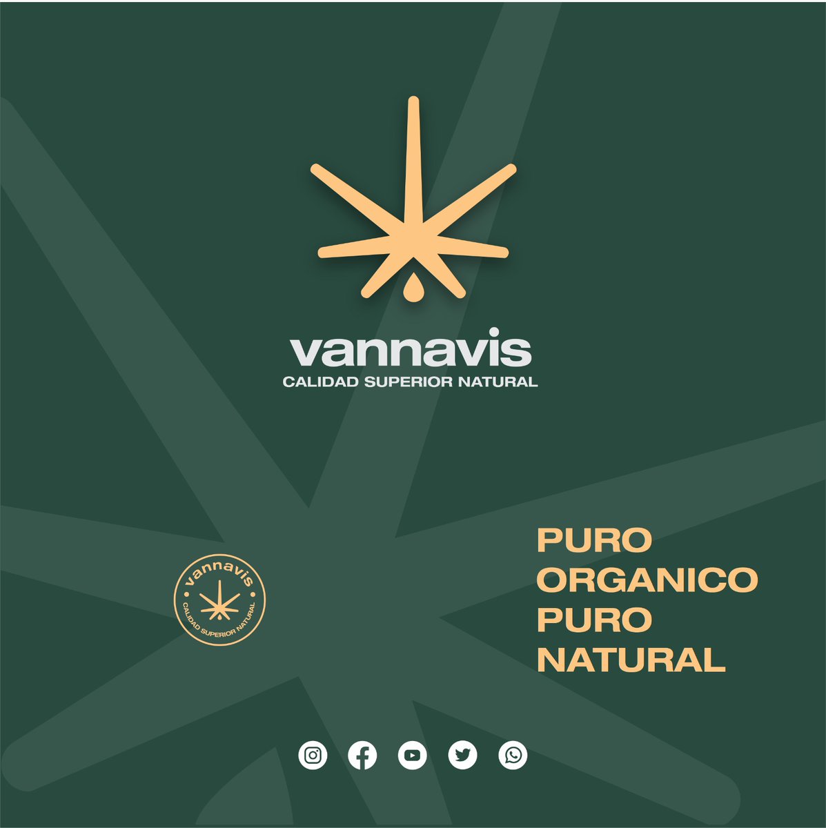 No te olvides de seguirnos en nuestras otras redes!! 
Proximamente: 
Estamos trabajando para VOS! Con mucha emoción, anunciamios el lanzamiento de nuestra Tienda Virtual y Showroom con importantes regalos y sorteos.
#CannabisMedicinal #BienestarNatural #LanzamientoVannavis#Aceite