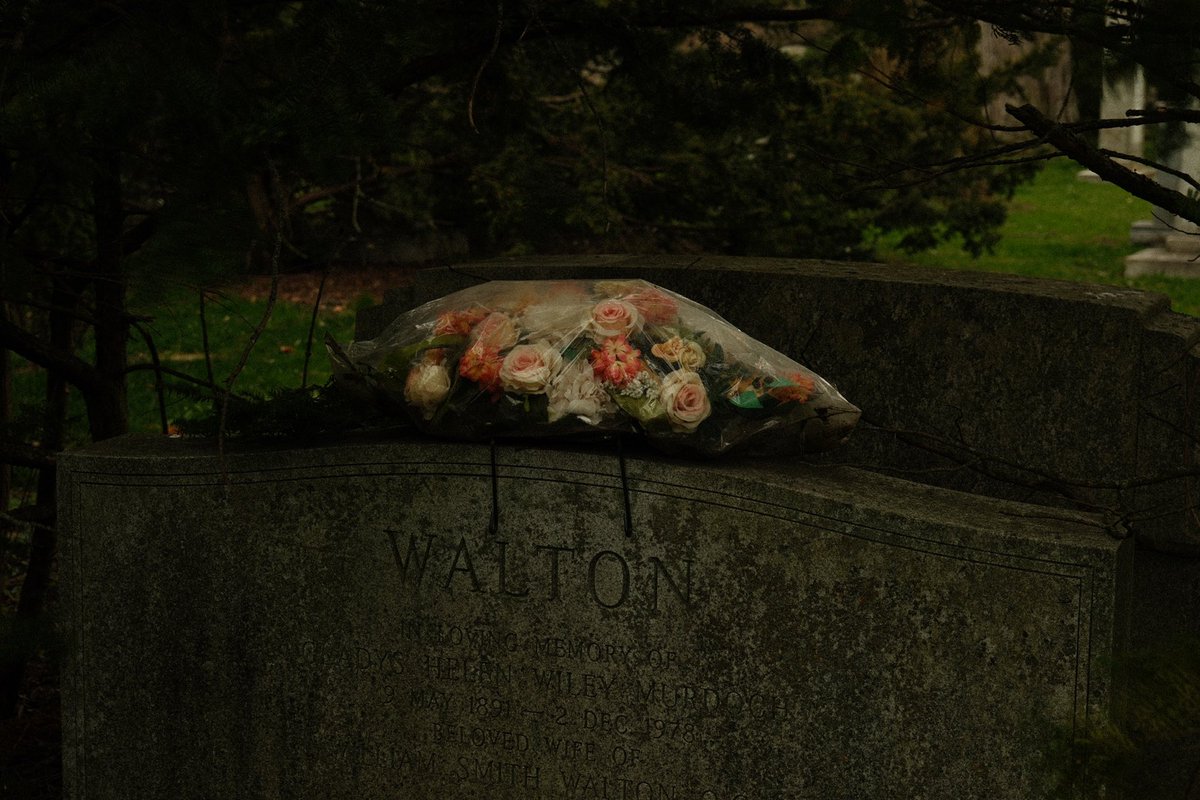 قبرستون تورنتو و شکوفه های گیلاس. 
#fujifeed #fujifilm_xseries