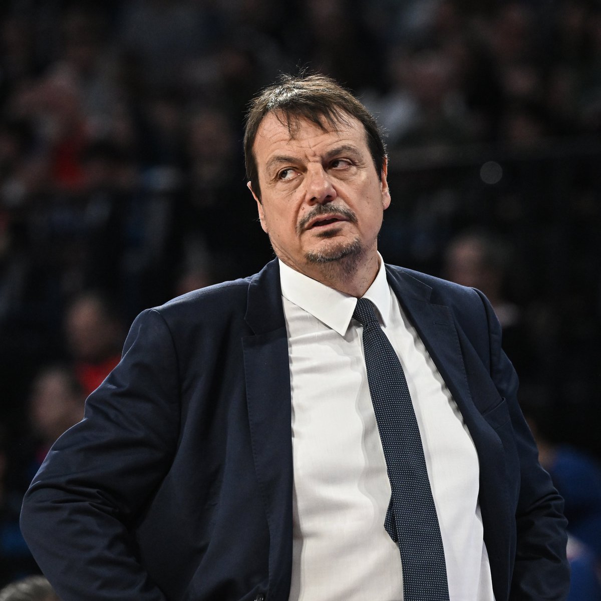 Ergin Ataman: 'Final Four'da olacağız. Bunun sözünü veriyorum. Eğer Final Four'da olamazsak, önümüzdeki yıl Panathinaikos'ta olmayacağım.'