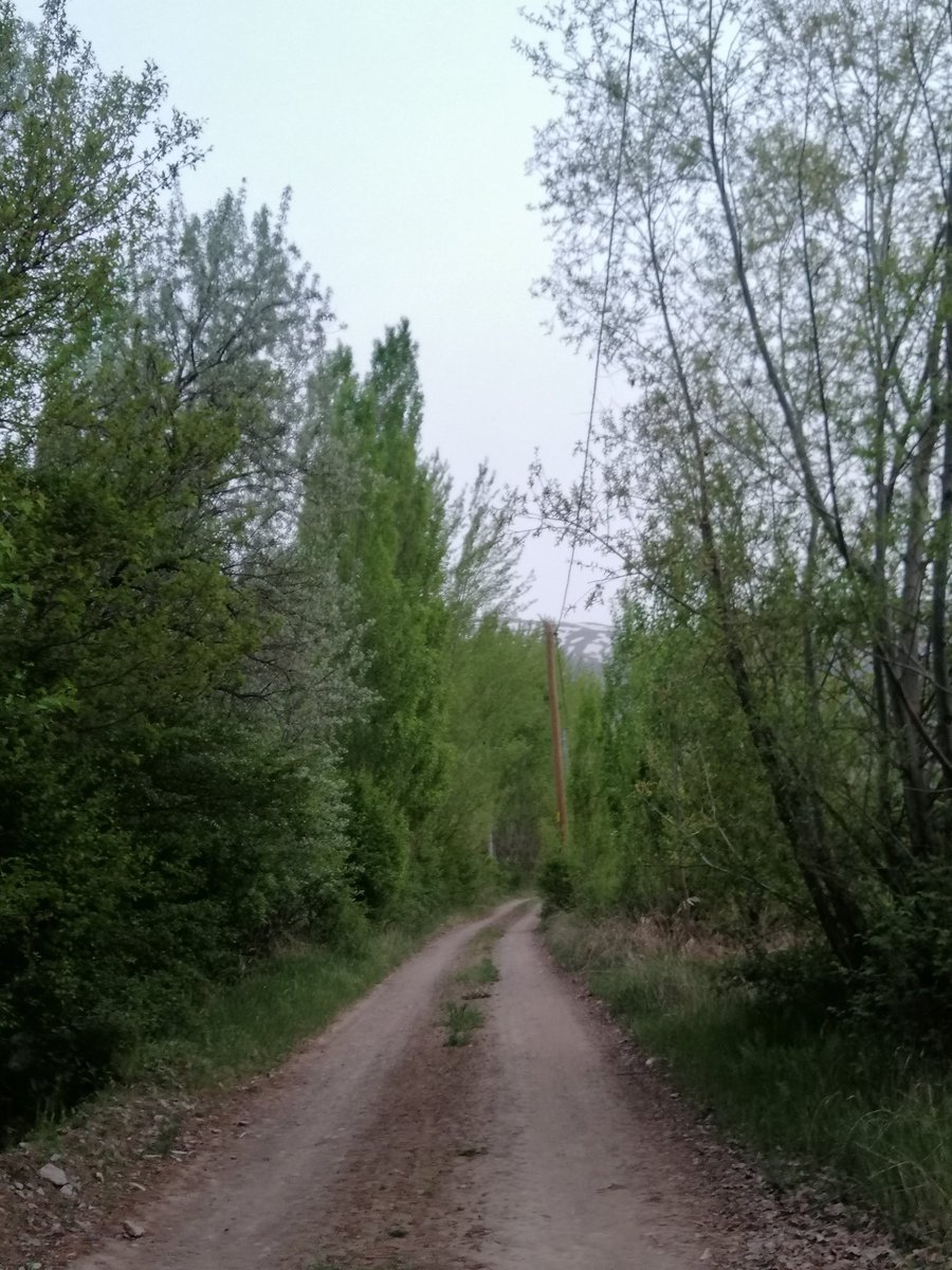 Dağ bayır bağ  bahçe bol oksijenli birgünden 🌿🌱