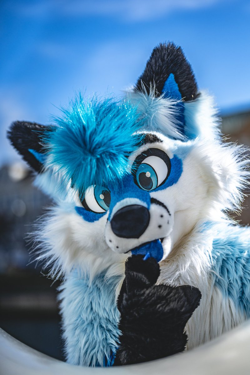 A short instruction how to think: 1. Touchy bleb The end 🤔 📷 by @Nighti331 💙