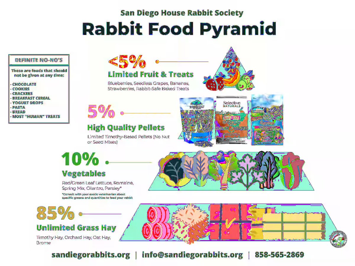 This food pyramid's top shows why you should carefully chose treats for your bunny. The bottom foods? Chow down! (binkybunny.com thanks San Diego HRS).