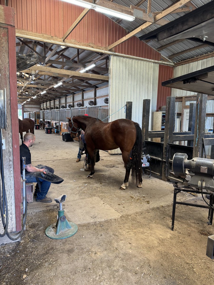 Great visit to @MCCMustangs  today.  Their Equine Program is one of a kind.   Looking forward to @STEMEast ‘s work with them on Smart Agriculture Institute this summer.  #smartagriculture