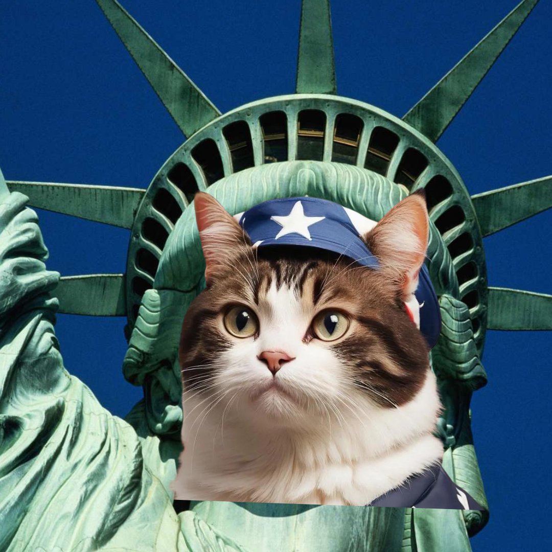 AMERICATSOL_'s tweet photo. $ACAT is live

CA: BWgDeDaAody2LJt555Cv3s4R2nzxbtN21qCUA9bhakTE

🐱🔥 https://t.co/EPxH4adzOq