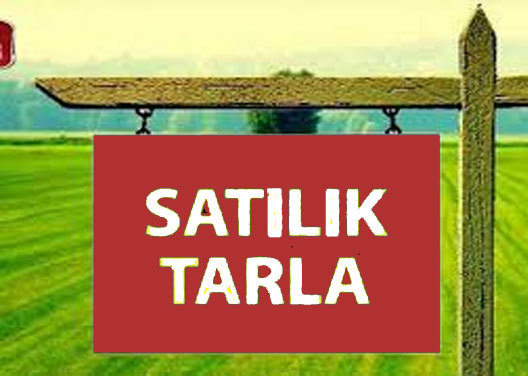 TUŞBA MOLLAKASIMDA SATILIK 55 DÖNÜM TARLA VAN / TUŞBA / MOLLAKASIM MAH. İlan No632750 Dosya No4452 Fiyat8.250.000 (m²)55000 İLHAMİ ÇAKIRTAŞ EMLAK A.Ş. VAN'IN LİDER VE KURUMSAL EMLAK ŞİRKETİ 0533 683 06 65