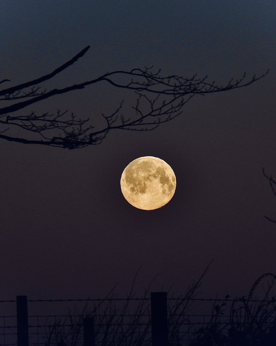 Ma’ hon werth ei gweld heno yn ei LLAWN ogoniant…cewch mâs i’w gweld👌🏼 #LleuadLlawn She is well worth seeing tonight in all her FULL glory…go out and have a look at her,absolutely gorgeous👌🏼 #FullMoon Nos da ❤️