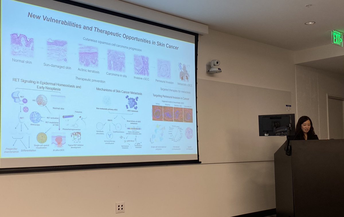 Fantastic talk @DermatologyUW @UWMedicine @fredhutch by @CarolynLeeMDPhD from @Stanford #Dermatology. Such a joy to be able to follow a clear talk all the way from #RNAseq and basic #keratinocyte biology to epidemiological data and clinical trial design for invasive carcinomas 🤩