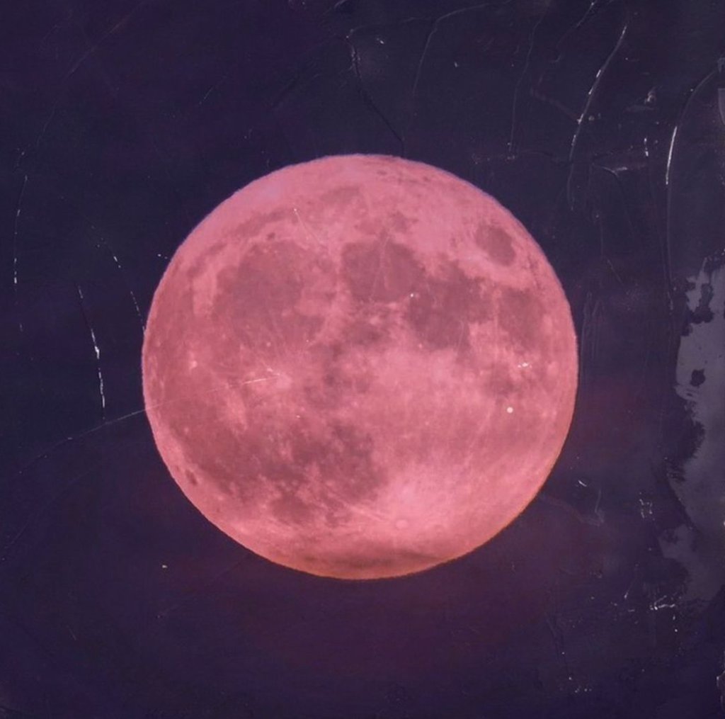 April's Pink Moon is named for the early springtime blooms of a North American wildflower called creeping phlox. 🌕️🌸⁠ ⁠ #pinkmoon #fullmoon #moonmagick #phlox #april