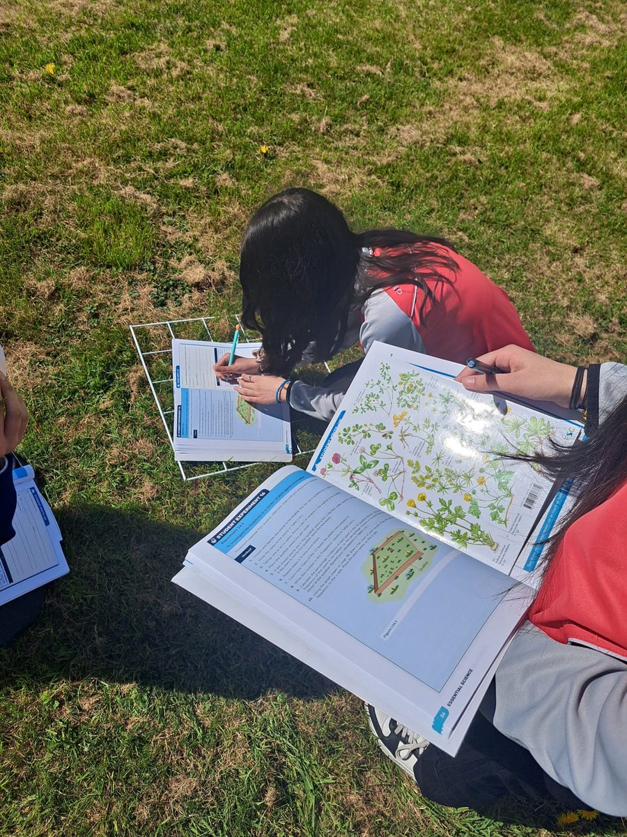 mungretcc's tweet image. 2nd year Science Students carrying out a quantitative survey of plants in the school field today #jcscience