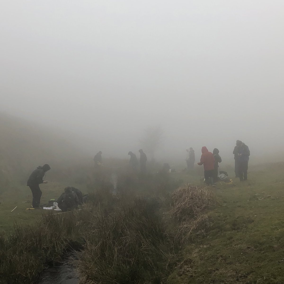 FSCNettlecombe's tweet photo. Nice day (once the fog cleared!) up on Exmoor today with @unisouthampton undergrads sampling freshwater inverts. On top of which we also managed to see plenty of Red Deer, a Dipper and even an Osprey! 🦌🐦‍⬛🦅

#exmoor #ecology #biology #fieldwork #outdooreducation https://t.co/jcox0ueYDD