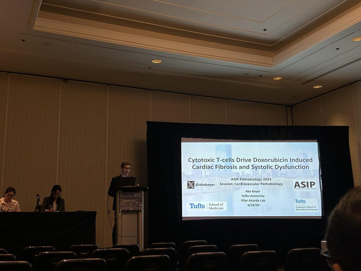 EyeDaisyShu's tweet photo. Great talk by @AbeBayer @PilarAlcaidePhD @DrZhengpingHu @MariaAntoniaZ97 @ASIPath #asip2024 https://t.co/sWMFjoJuUf