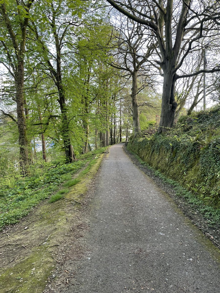 KevinFurey17's tweet photo. Making the most of the nice weather☀️ some photos of the Bank Walk in Donegal Town this evening 

#donegal #donegaltown #weather #sunshine #walking https://t.co/jXABkq5NKl