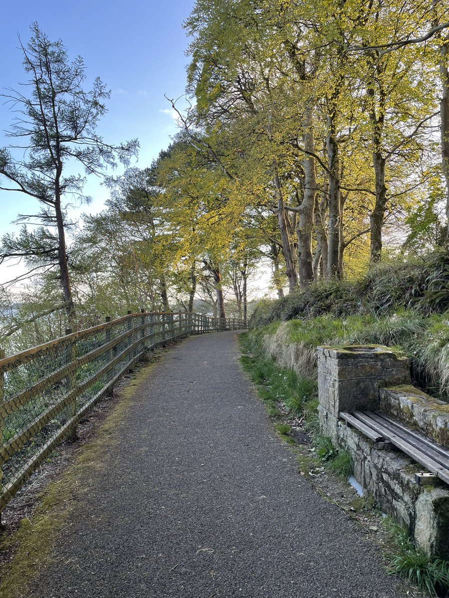 KevinFurey17's tweet photo. Making the most of the nice weather☀️ some photos of the Bank Walk in Donegal Town this evening 

#donegal #donegaltown #weather #sunshine #walking https://t.co/jXABkq5NKl