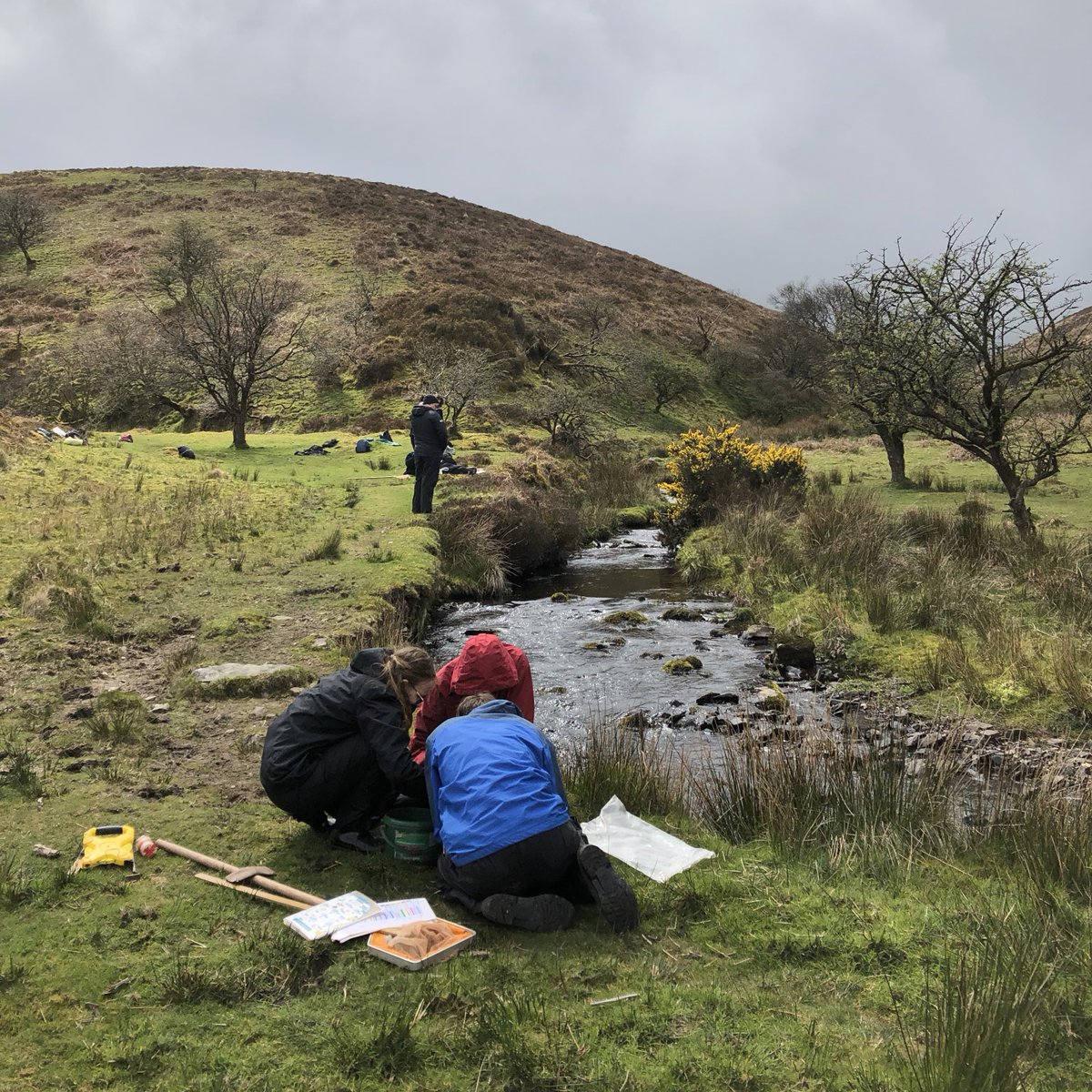 FSCNettlecombe's tweet photo. Nice day (once the fog cleared!) up on Exmoor today with @unisouthampton undergrads sampling freshwater inverts. On top of which we also managed to see plenty of Red Deer, a Dipper and even an Osprey! 🦌🐦‍⬛🦅

#exmoor #ecology #biology #fieldwork #outdooreducation https://t.co/jcox0ueYDD