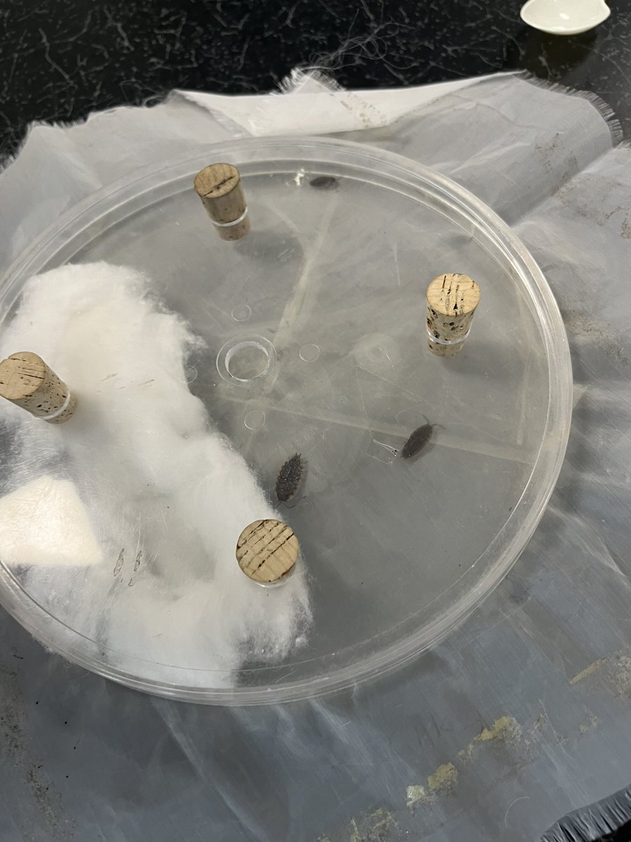 Mr Carson tweet media