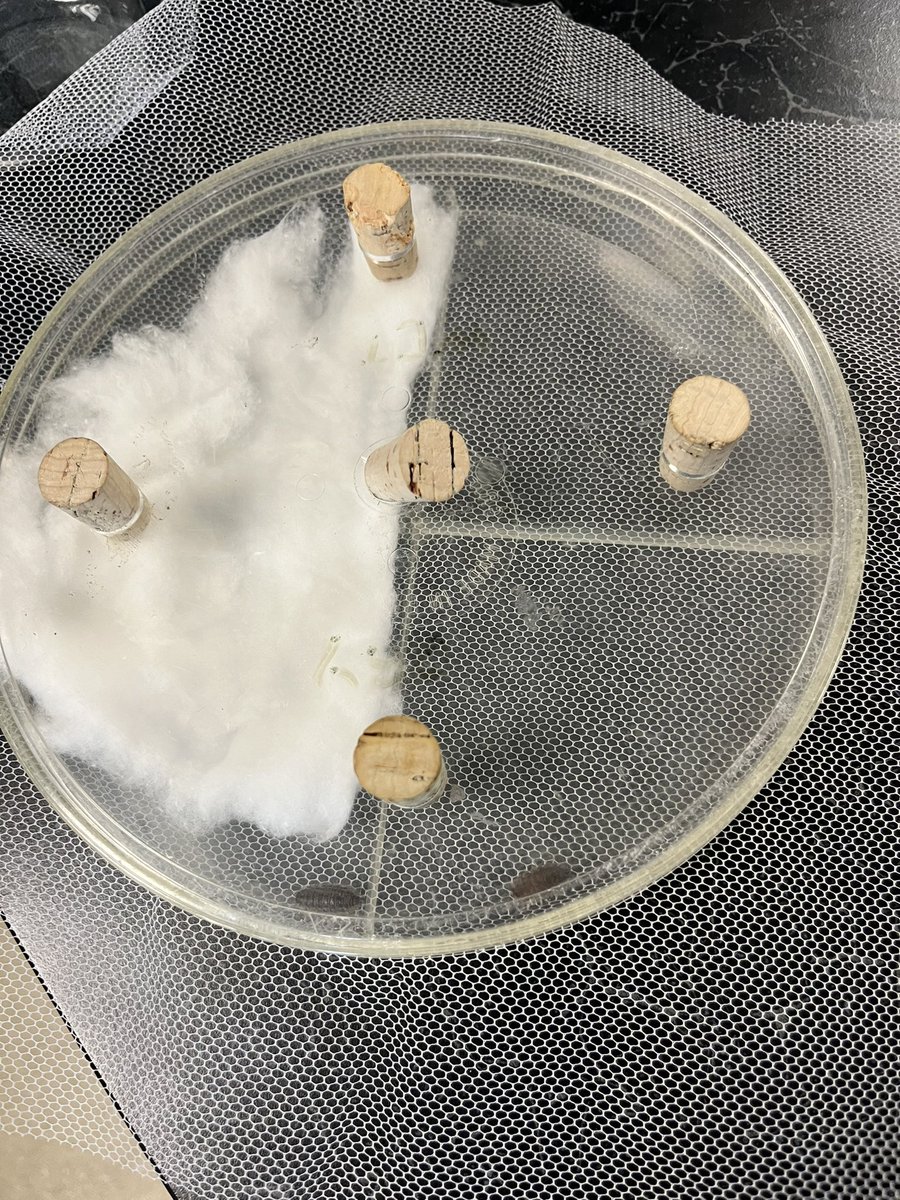 Mr Carson tweet media