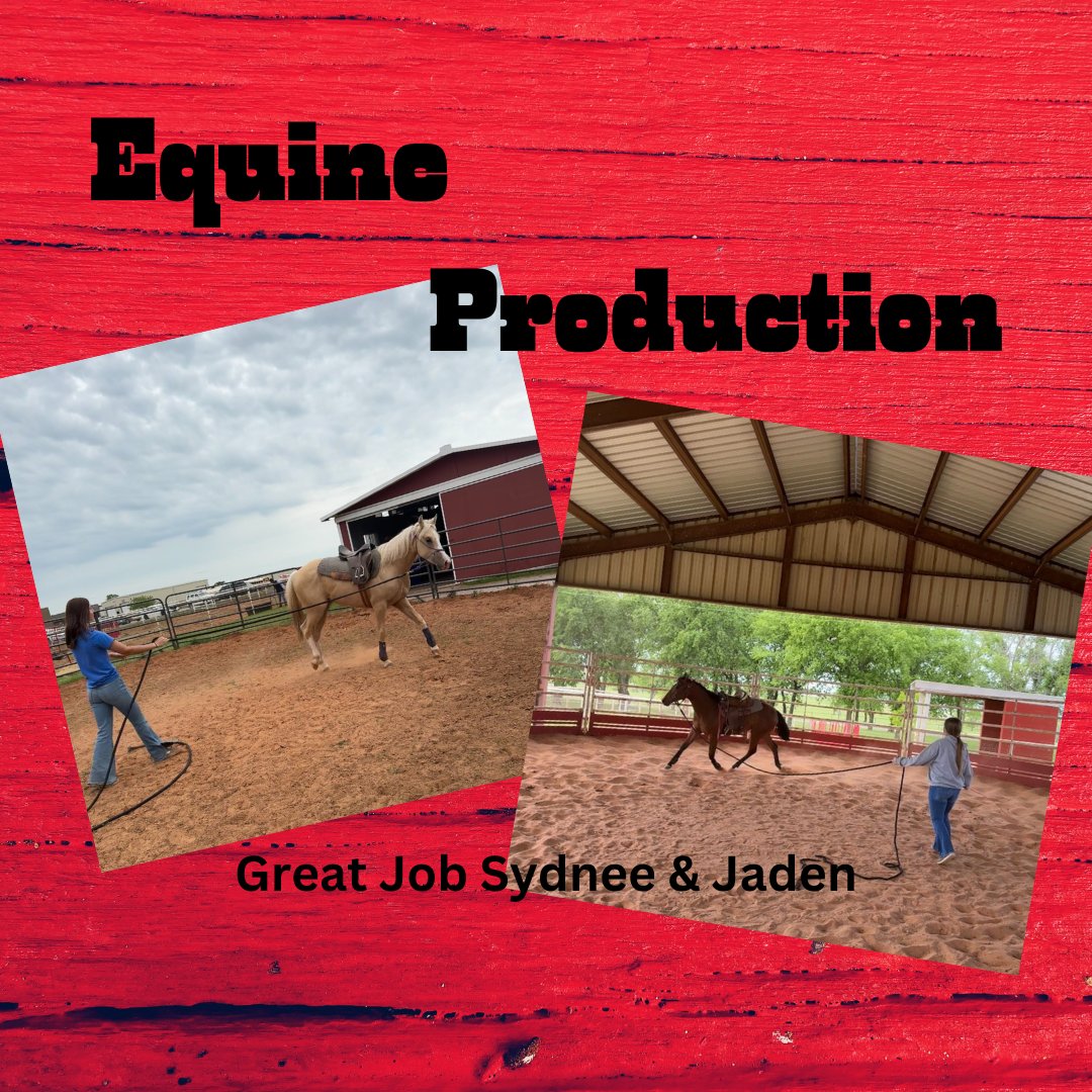 Equine Production students Sydnee Wait and Jaden Smith are working on saddle training for two client horses. #MyMATC #ReSkill #UpSkill matech.edu/equine