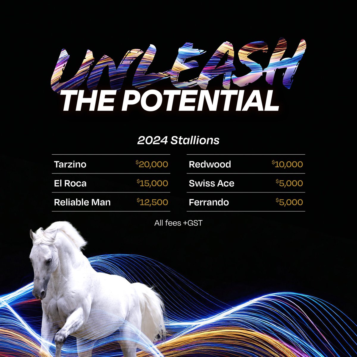 WestburyStud's tweet photo. #Tarzino heads the 2024 Stallion Roster at $20,000 + GST in a line up which provides breeders the opportunity to breed Group 1 winners ... book now and get your #SharpNSmart #Antino #GypsyGoddess #JungleMagnate #MiamiBound #TravellingLight #JustAsSharp https://t.co/Aw0spbh7k8