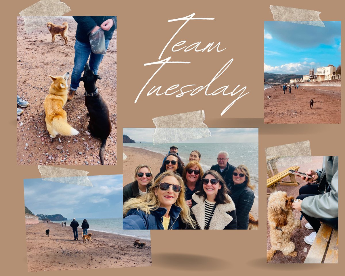 Lovely #TeamTuesday meet up today with my <a href="/DPT_NHS/">Devon Partnership NHS Trust</a> #nhscomms colleagues on the beach in #Teignmouth. The DPT #dogs enjoyed it too, especially the <a href="/TeignB/">TeignBean</a> treats! <a href="/1Legsy/">Peter Leggatt</a> <a href="/marieanneaugust/">Marie-Anne August</a> <a href="/Shazzahb/">Sharon Berkhout</a> <a href="/Laurenamybatten/">Lauren Batten</a> <a href="/D_AArmstrong/">Danielle Armstrong</a> and all! #nhs #comms #Devon #beachlife <a href="/DPT_Jobs/">Join Devon Partnership NHS Trust</a>