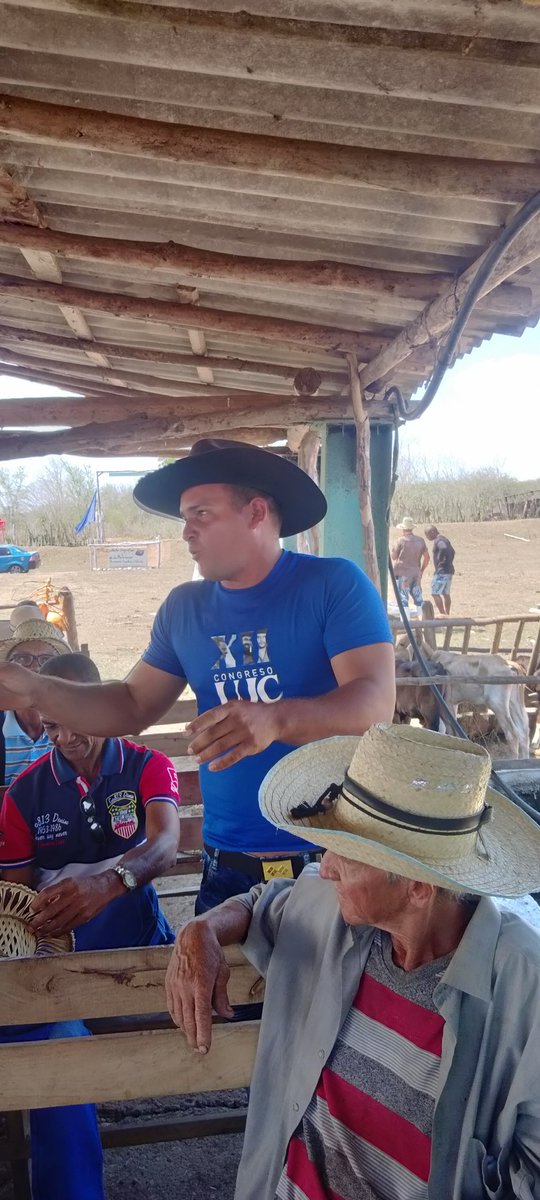 Ramón Fabre Fonseca joven ganadero del municipio Mella agradeció la posibilidad de haber representado a sus compañeros Campesinos en el #12CongresoUJC y tener la oportunidad de que el Presidente @DiazCanelB escuchará las preocupaciones de los jóvenes Cubanos.
@FelixDuarteOrte