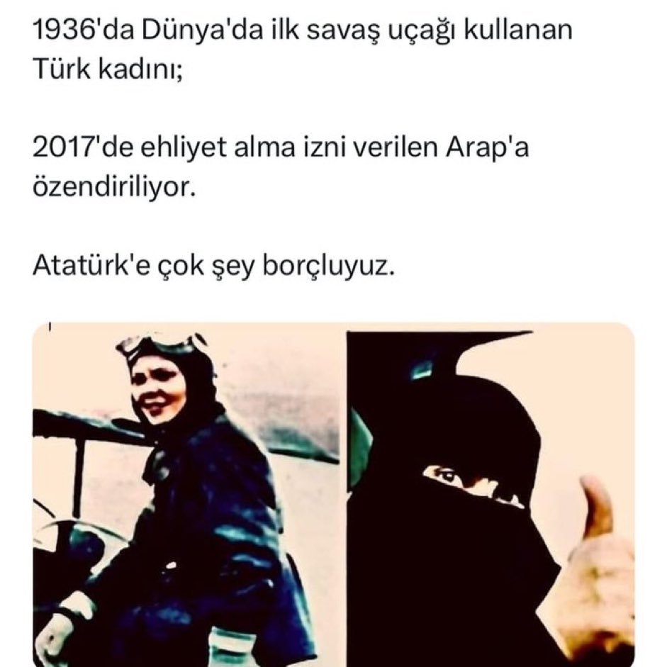 Araplar isterlerse 1000 yıl ilerlesin, bizi geriye çekerler.
1400 yıldır kadını köle yapan bir toplumdan adam da çıkmaz.