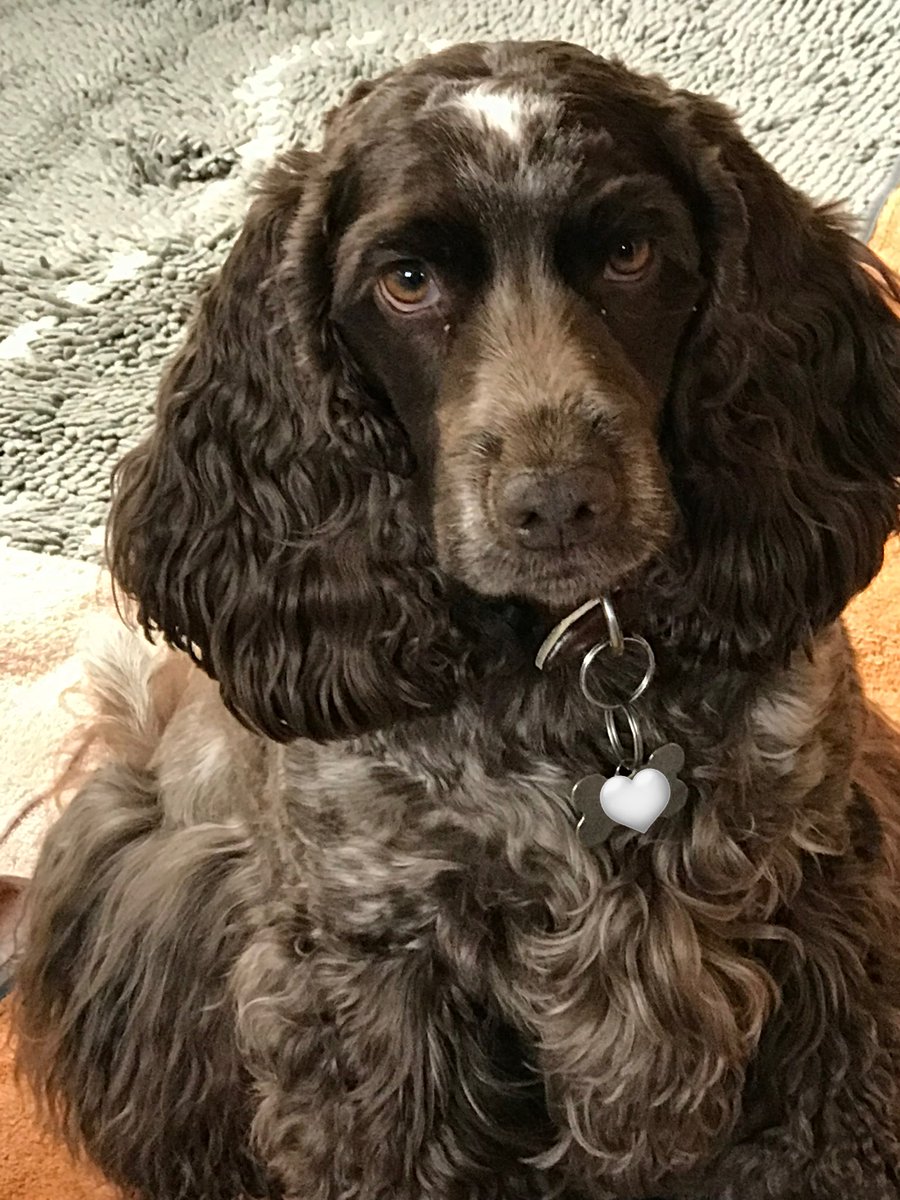 RosieandJane tweet media