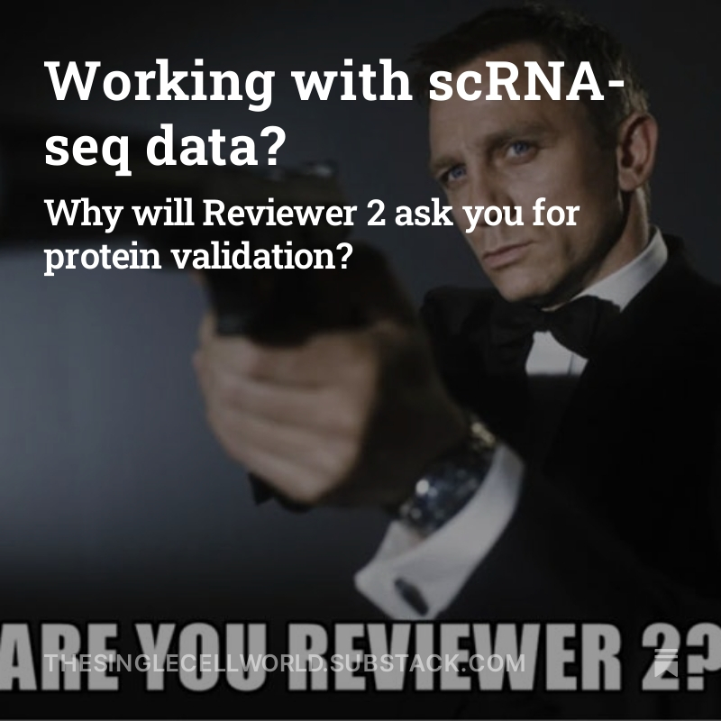 Working with scRNA-seq data? Why will Reviewer 2 ask you for protein validation? 🤓 Find the answer in our latest blog post 👇🏻 bit.ly/3JxhOik