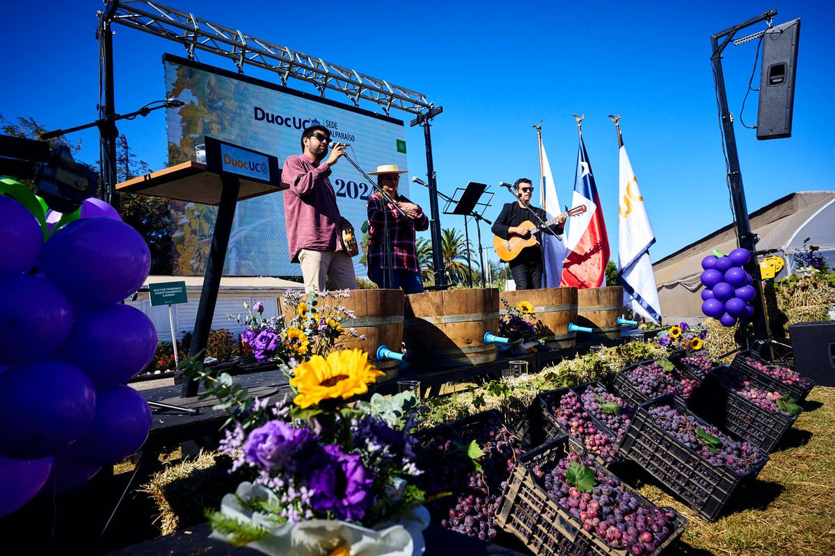 Centro Tecnológico Agrícola de Duoc UC Sede Valparaíso fue nuevamente el anfitrión de la Vendimia de Quillota

Con la cosecha de los primeros racimos de uva del Centro Tecnológico Agrícola de Duoc UC Sede Valparaíso se realizó la Fiesta de la Vendimia 2024 en Quillota. La…