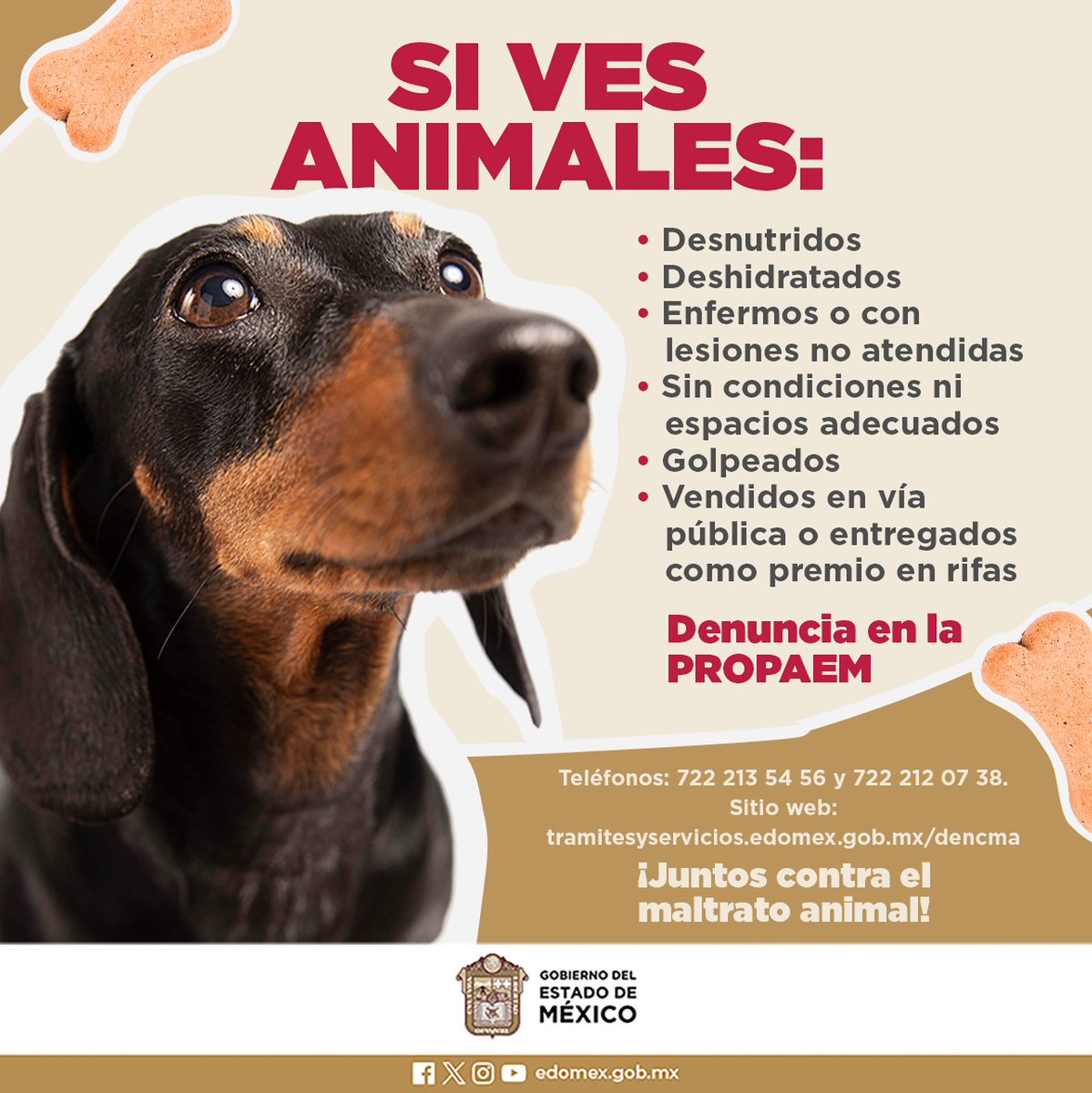 Hacemos equipo contra el maltrato animal. Denuncia ante la @propaem_sma en los teléfonos: 722-213-5456 y 722-212-0738. #EstadoDeMéxico #BienestarAnimal
