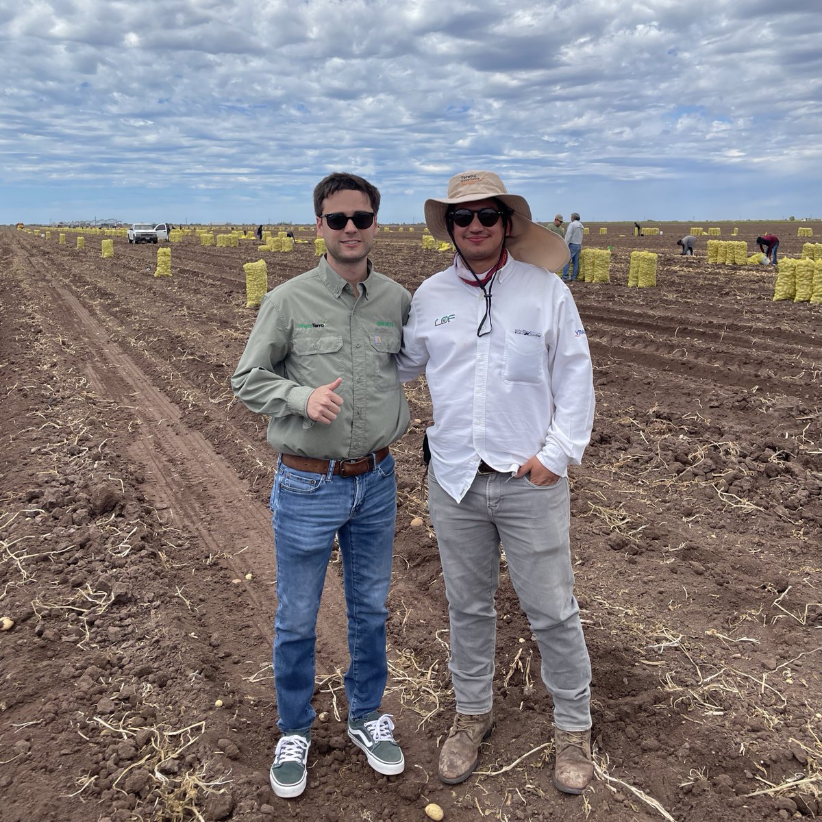 LofAgro and Rómulo Tachna of PhycoTerra® shared this summary of a recent potato trial for Agrícola Barceló. The results: Control: 45 tons/ha PhycoTerra® 4L: 47.8 tons/ha (+6.2%) PhycoTerra® 6L: 49.8 tons/ha (+10.6%)