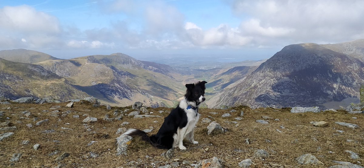 A grand day out in the hills.