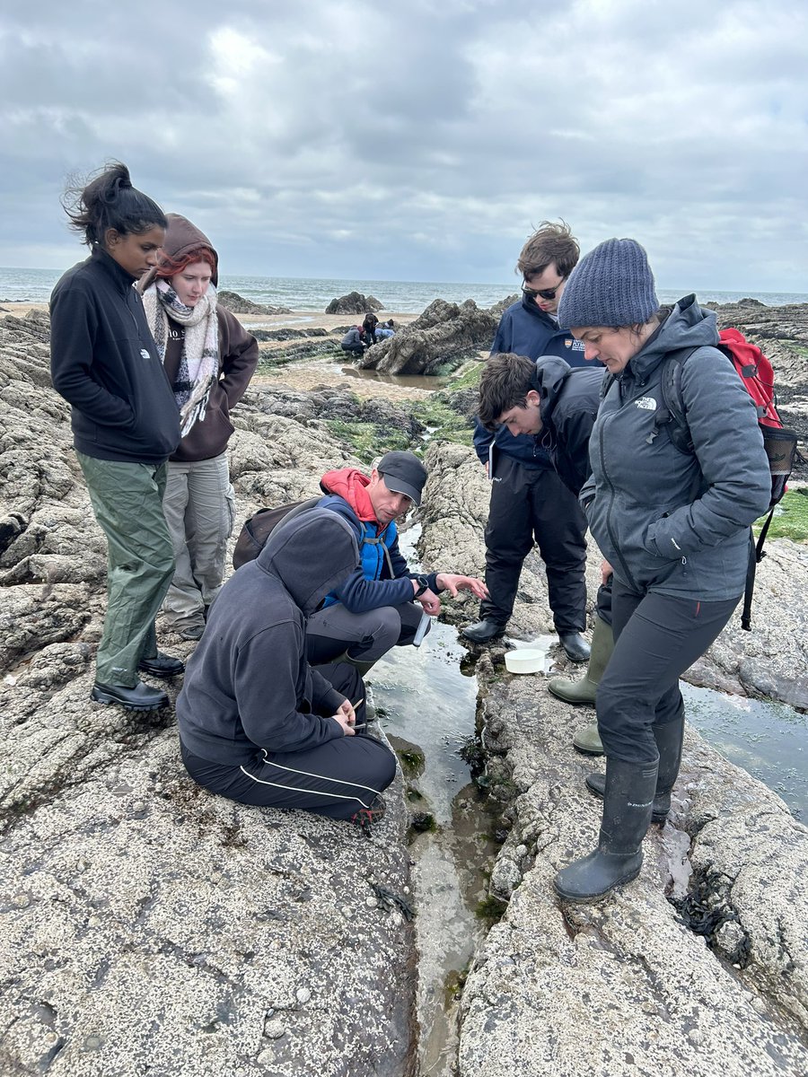 Fabulous 2nd day of the 1st year marine biology fieldcourse. Using observations to choose model organisms for our questions, collecting pilot data and experimental design in preparation for students’ projects  <a href="/mark_briffa/">Mark Briffa</a> @ManuelaTruebano <a href="/ella_ackroyd/">Ella Ackroyd</a> @plymbiolmarsci #PlyMBIO