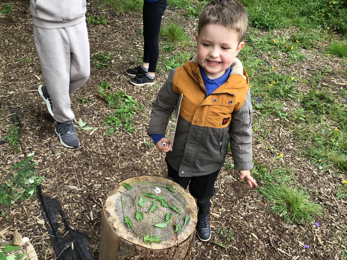 Abermule Primary tweet media