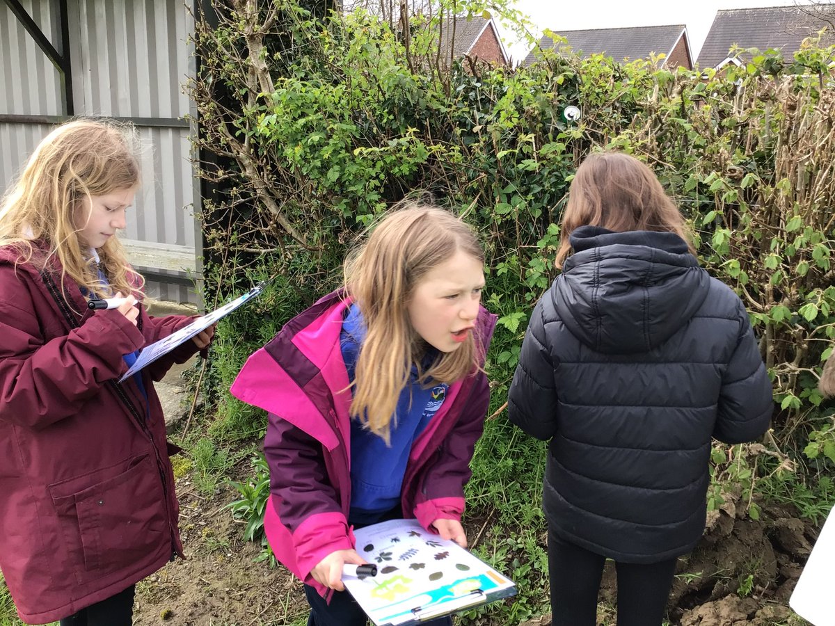 Abermule Primary tweet media