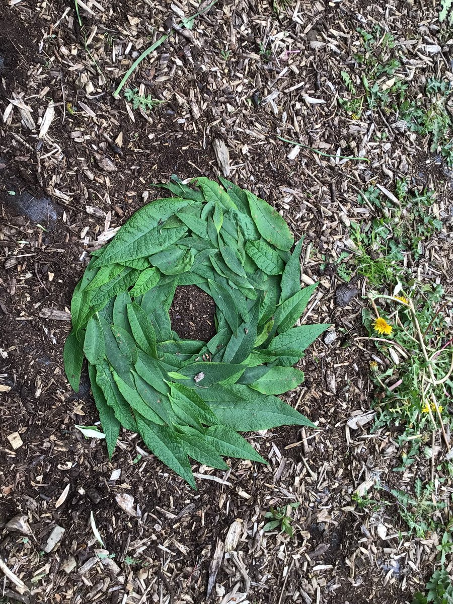 Abermule Primary tweet media