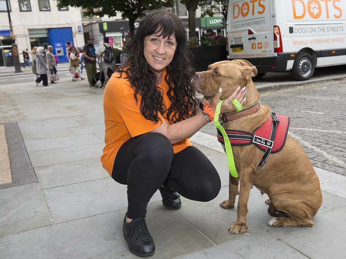 Pals! Show some LOVE for Michelle Clark & @dotslondon ❤️🐾 Time for the #UK to RISE UP and put and end to the hate and discrimination toward the vulnerable and their pets! Dogs On The Streets can't do the job all by themselves!! Speedy recovery Michelle!! 🙏❤️ Donate: