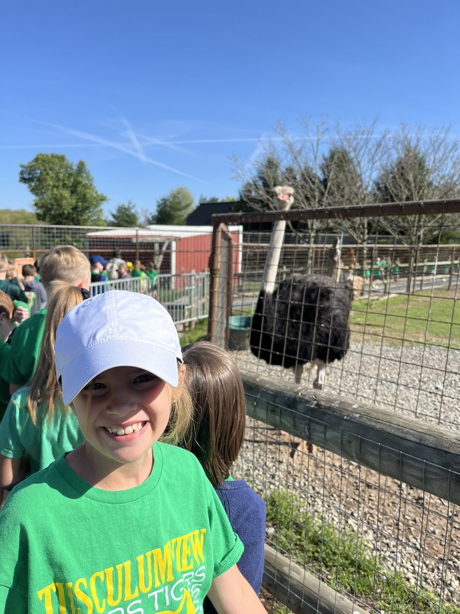 Tusculum View 2nd tweet media