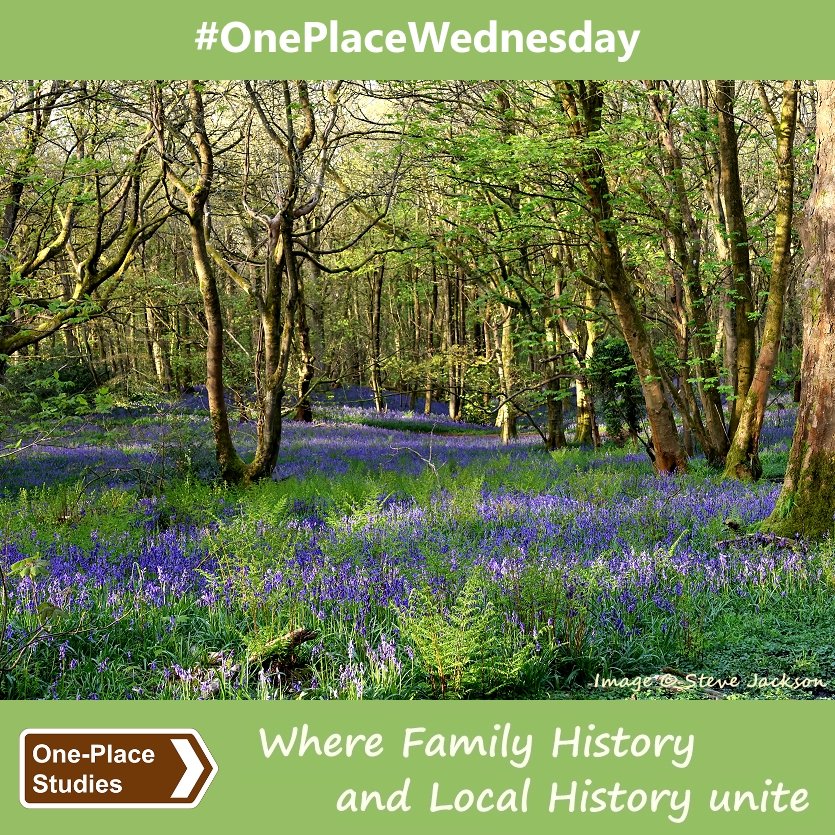 Let's Spring into #OnePlaceWednesday! Use the hashtag to share your #HouseHistory, #StreetStudy and wider #OnePlaceStudy stories, photos, blog posts,  resources, questions, suggestions, news and views, at any time during the day, and from anywhere in the world. 💚