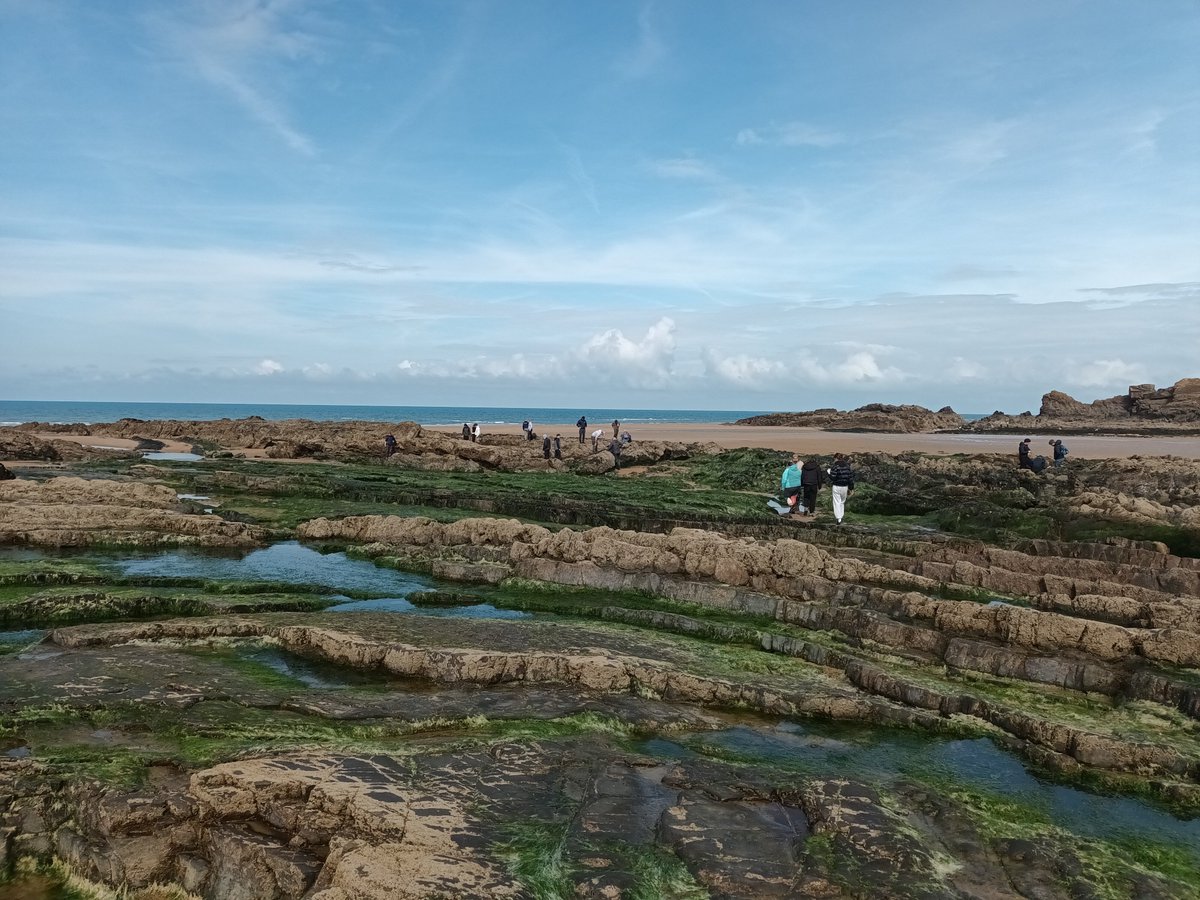 Day 2 of our #marinebiology field course @PlymUni. Making the most of our local habitats! Amazing sites, enthusiastic students and dedicated staff. #plyMBIO @MBERC_PlymUni @plymbiolmarsci