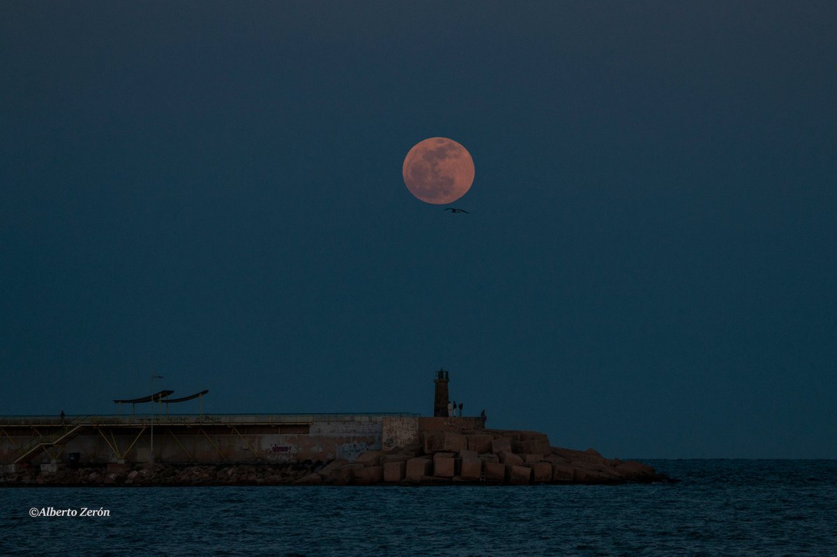 ¡Guau! Esta tarde-noche (23/04/2024), salida de la #Luna llena sobre el faro del Dique de Levante de #Torrevieja (#Alicante). Horas nocturnas de plenilunio en las que ya se nota el 'fresquito' y más se notará en el próximo amanecer. Imágenes: @AlbertoZern1.
