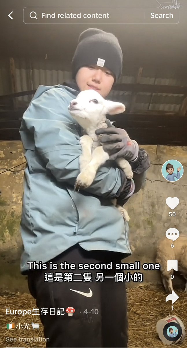Fascinated by this Taiwanese twenty-something who has somehow ended up labouring on an Irish sheep farm
