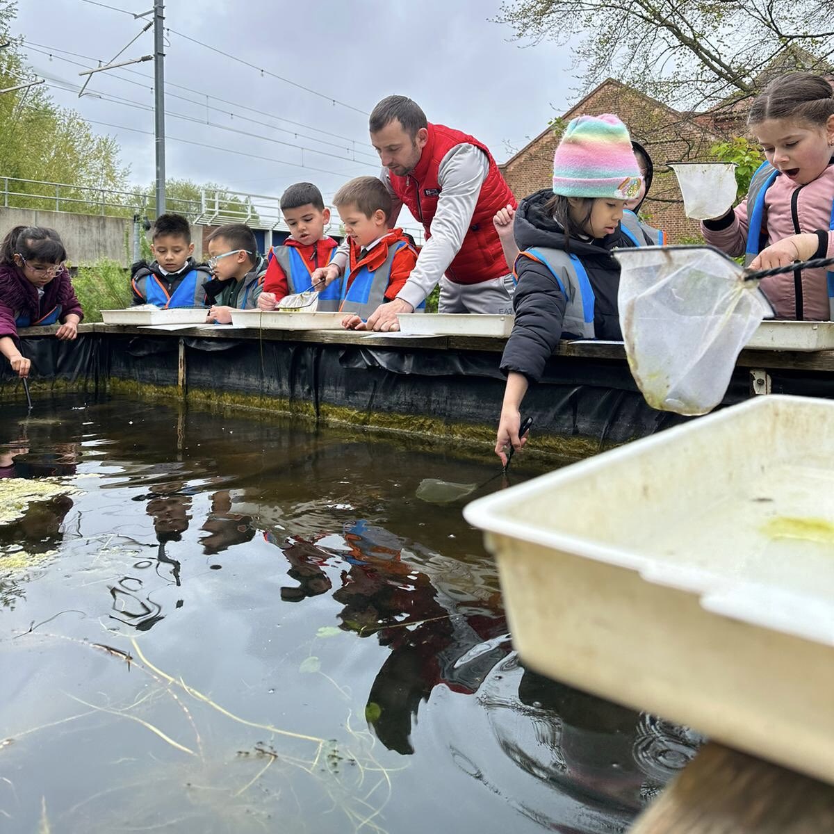 Mulberry Primary tweet media